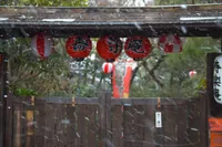 2025-02-06-01_52_57 IMG_1226